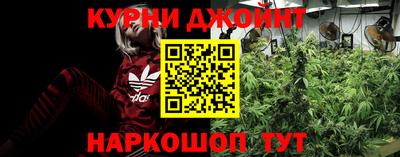дмт Аргун