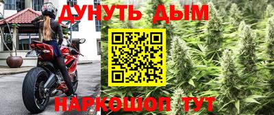 дмт Аргун