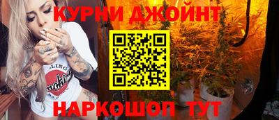 дмт Аргун